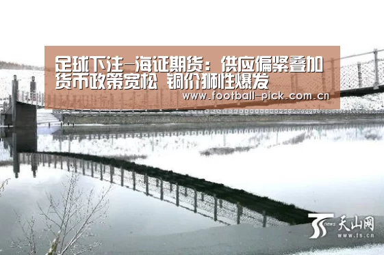 足球下注-海证期货:供应偏紧叠加货币政策宽松 铜价狮性爆发(图1) 足球下注