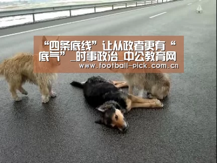 “四条底线”让从政者更有“底气”_时事政治_中公教育网:滚球投注(图1) 足球下注