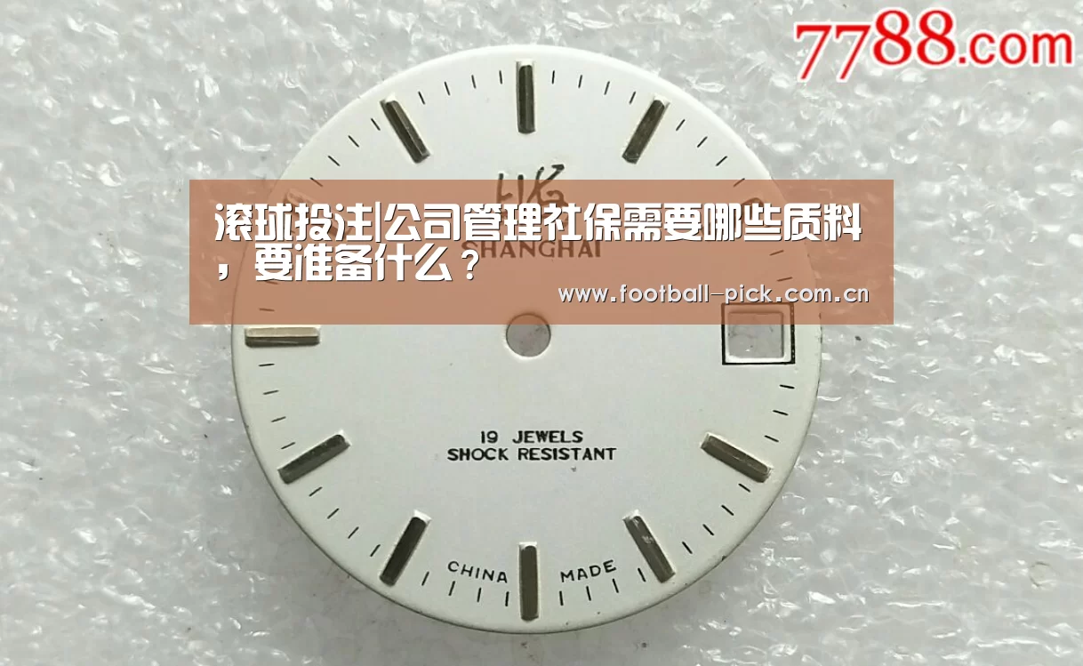 滚球投注|公司管理社保需要哪些质料,要准备什么?(图3) 足球下注